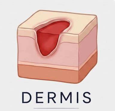 Logo oficial Dermis - Asistente Móvil para Manejo de Heridas